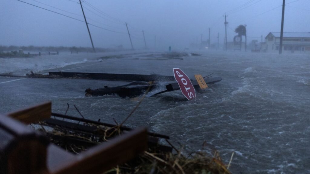 Beryl And The Insurance Companies Most Affected By The Active