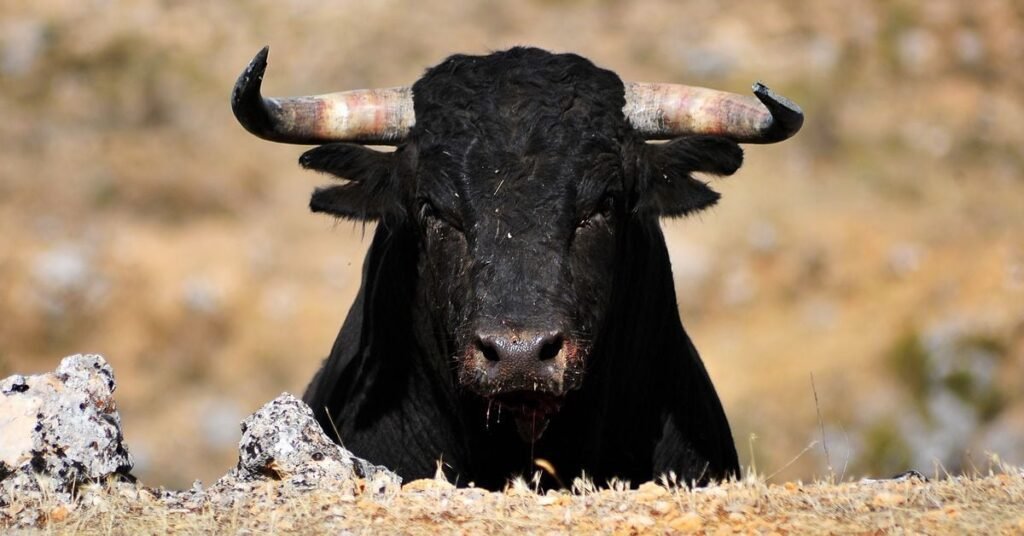 Bitcoin traders predict ‘bullish July’ as BTC ETF sees $124M inflows Bitcoin Traders Predict 'bullish July' As Btc Etf Sees $124m