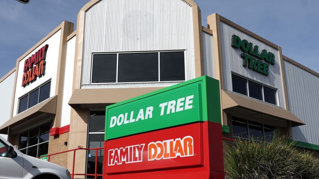 Dollar Tree (dltr) Q2 2024 Earnings